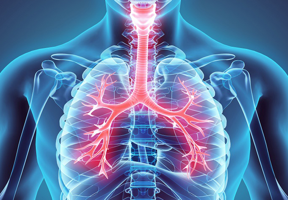 Respiratory diseases in aging senolytics